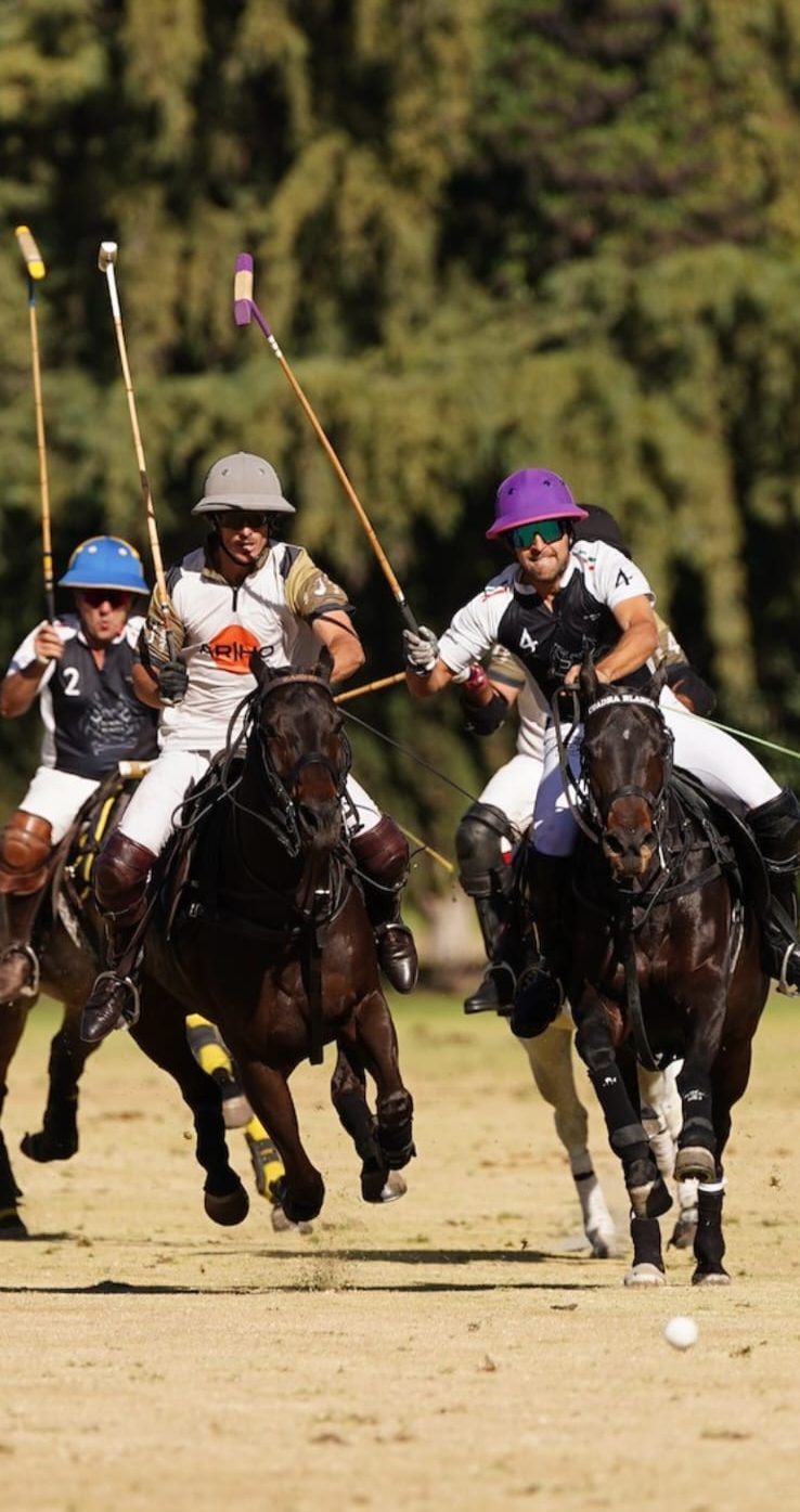 COMUNICADO OFICIAL FMP