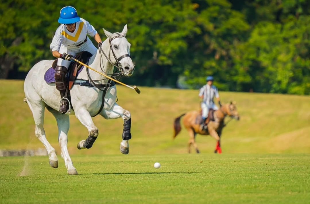 COPA DE POLO SABORES DE SAN PANCHO EN TIERRA TROPICAL.