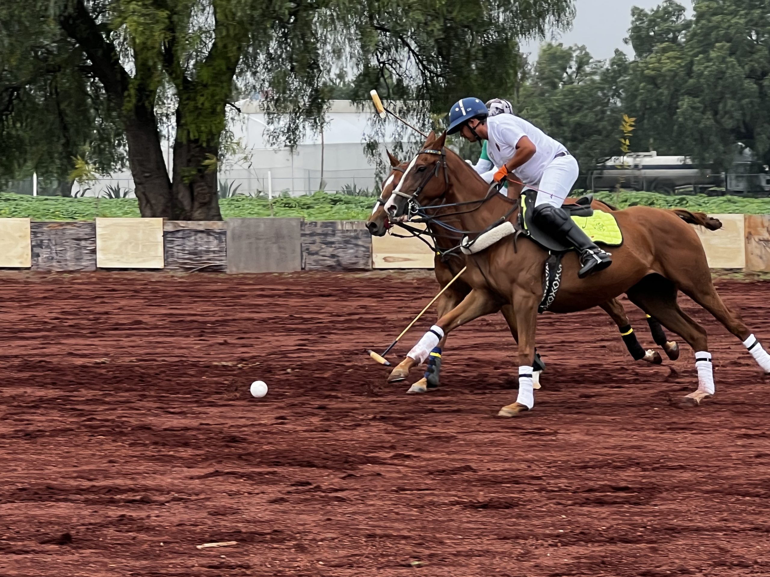 SELECCIÓN MEXICANA DE POLO ARENA
