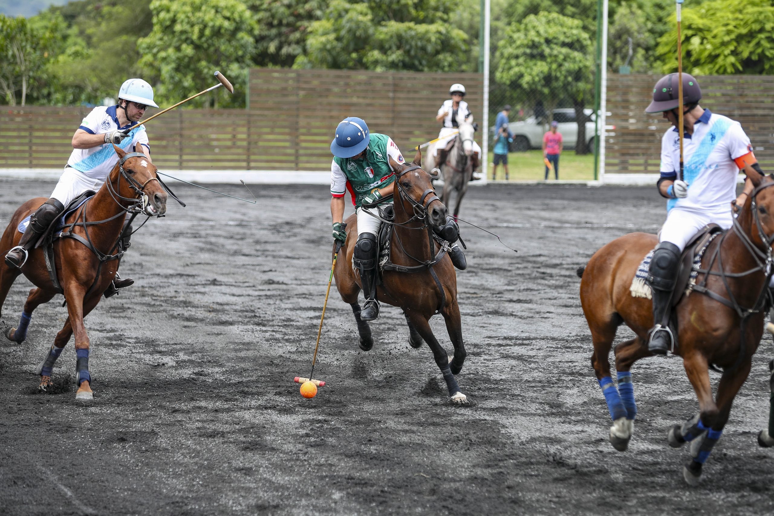 MÉXICO EN POLO ARENA