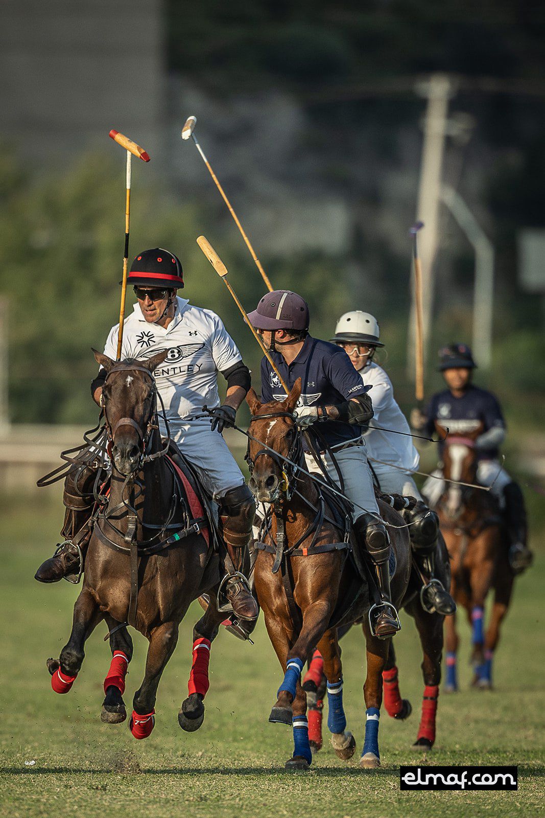 COPA DE OTOÑO MONTERREY