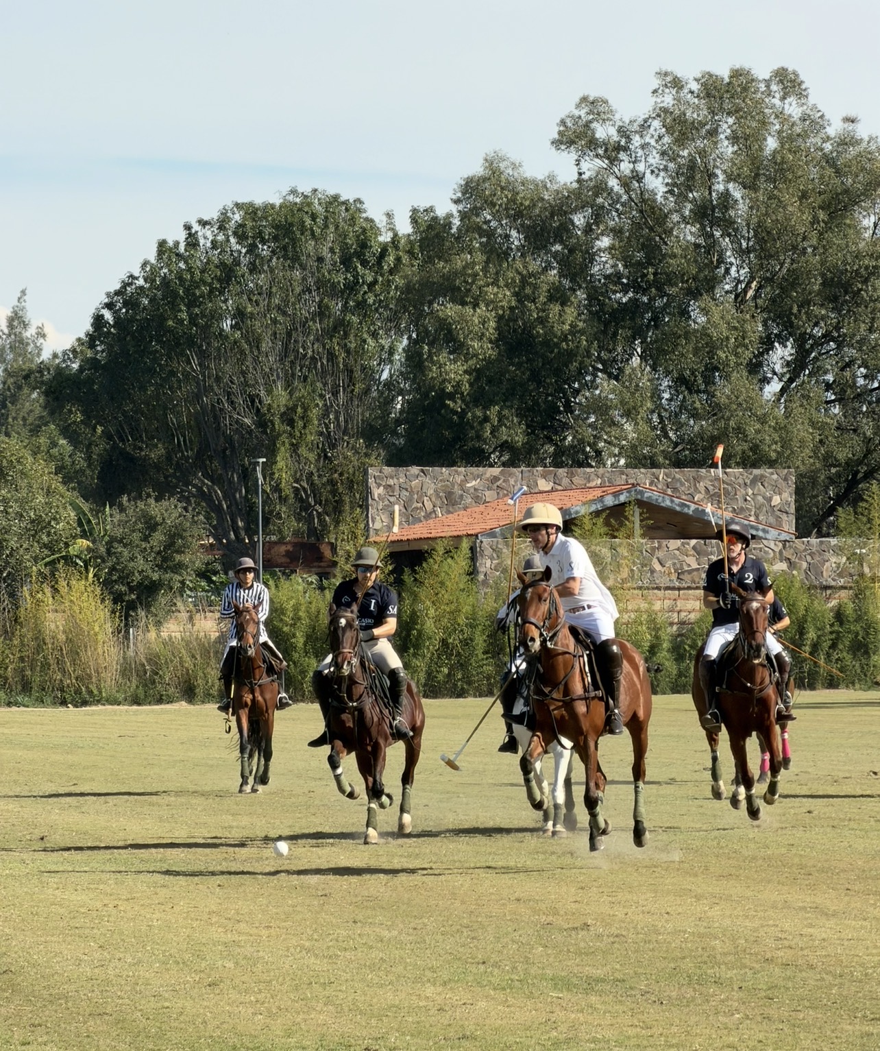 BIENVENIDO A LA FMP SAN ACASIO POLO & EQUESTRIAN RANCH